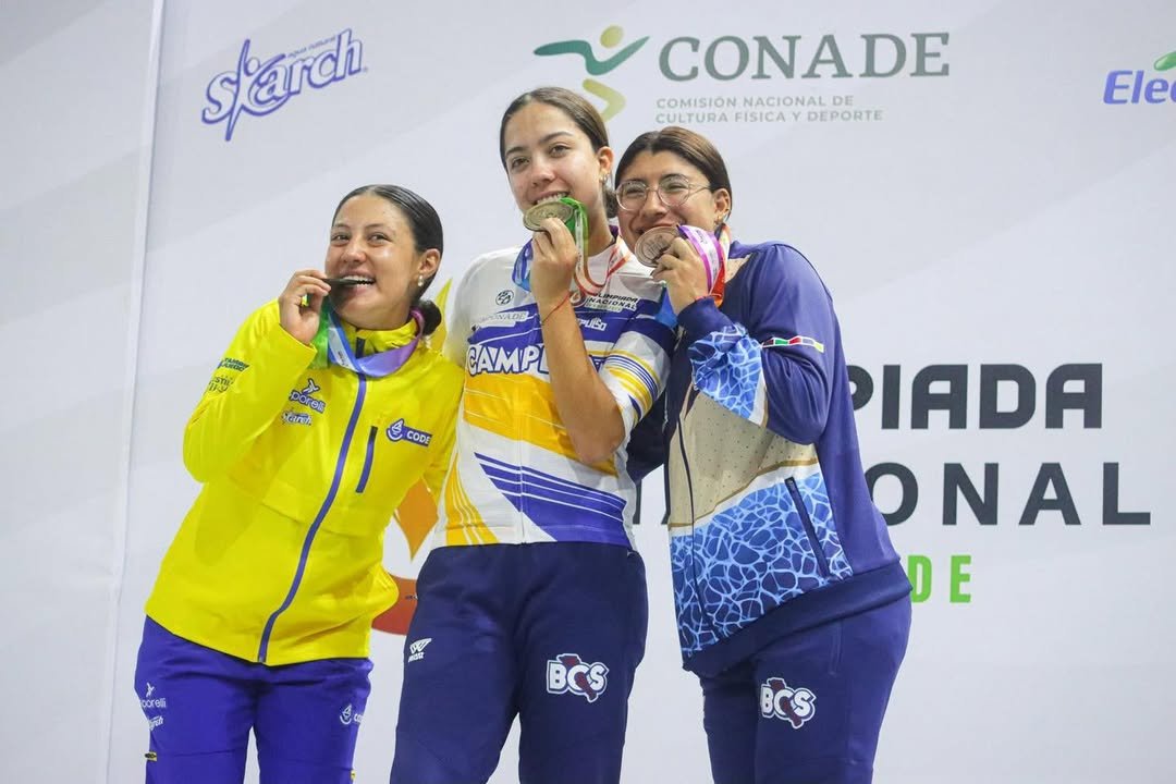 Imagen de Noticia