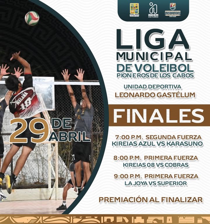 Imagen de Noticia