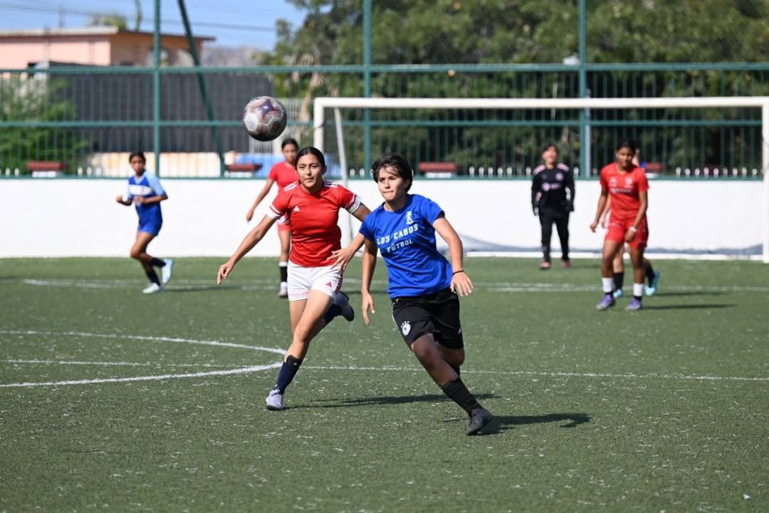 Imagen de Noticia